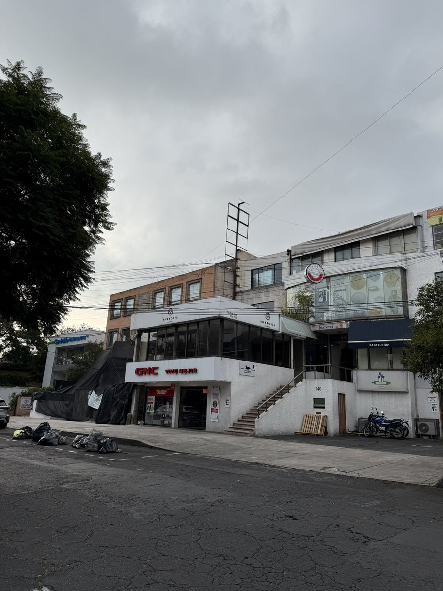 ViveLasLomas's tweet photo. Para variar, @GNCMexico #Ambrosia y #PasteleriaLosTulipanes en Prado Norte 540 tiran basura en la calle y apartan lugares de @ecoParq 
Ayuda por favor @AlcaldiaMHmx @MHPrevencion @Participacion_M @UCS_GCDMX @C5_CDMX https://t.co/SbnwcCFA9A