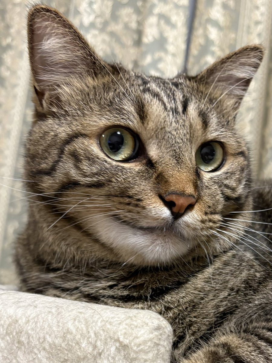 uJWJpFJGxHBmkUw's tweet photo. ニヤッとしてる？🤭 https://t.co/dkFf5xCnCV