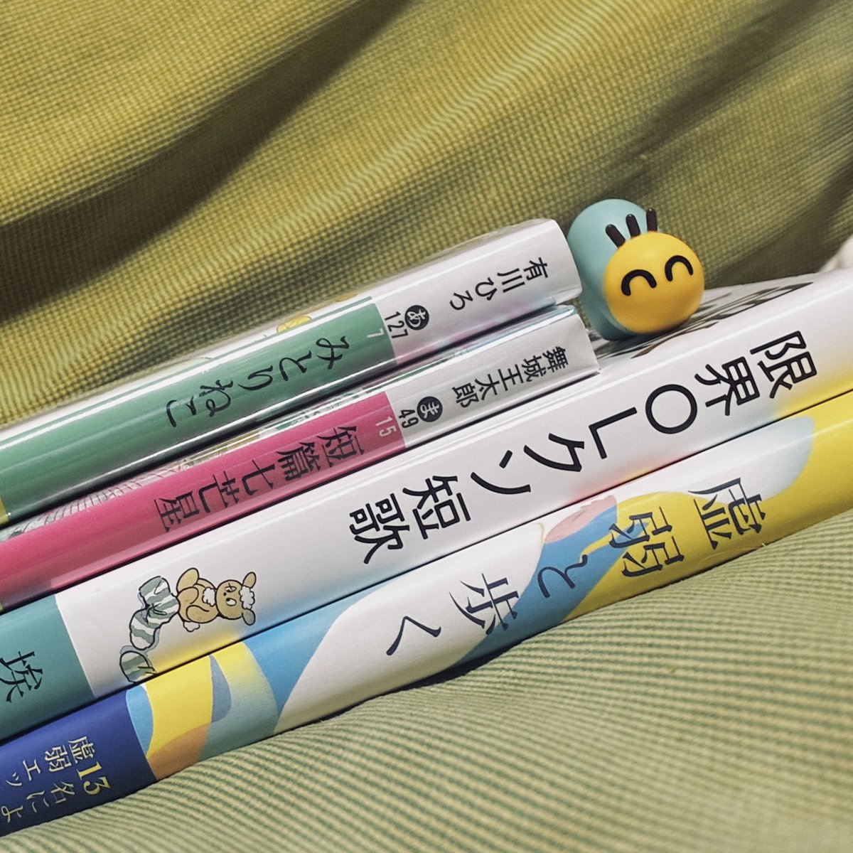 ruines_act's tweet photo. 本を買う時が一番体調が良く、近頃は読書ができるコンディションが整わないと言い張って積読だけ増やす一方のだらしない人間がいる。お前である。 https://t.co/h7eOdtLU0O