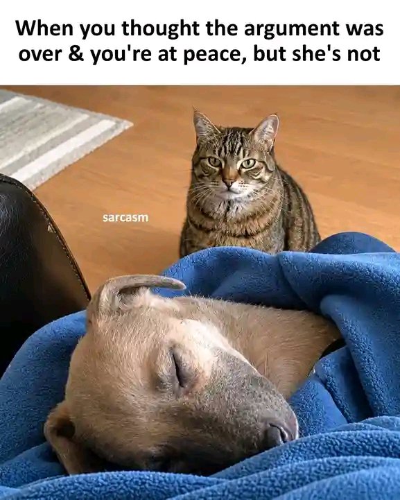 RenaissanceRAF's tweet photo. @idarapiuspbwo After happily cheating in the evening after the morning argument and sliding in through the back door, thinking that she has already slept https://t.co/ClguxGzAXS