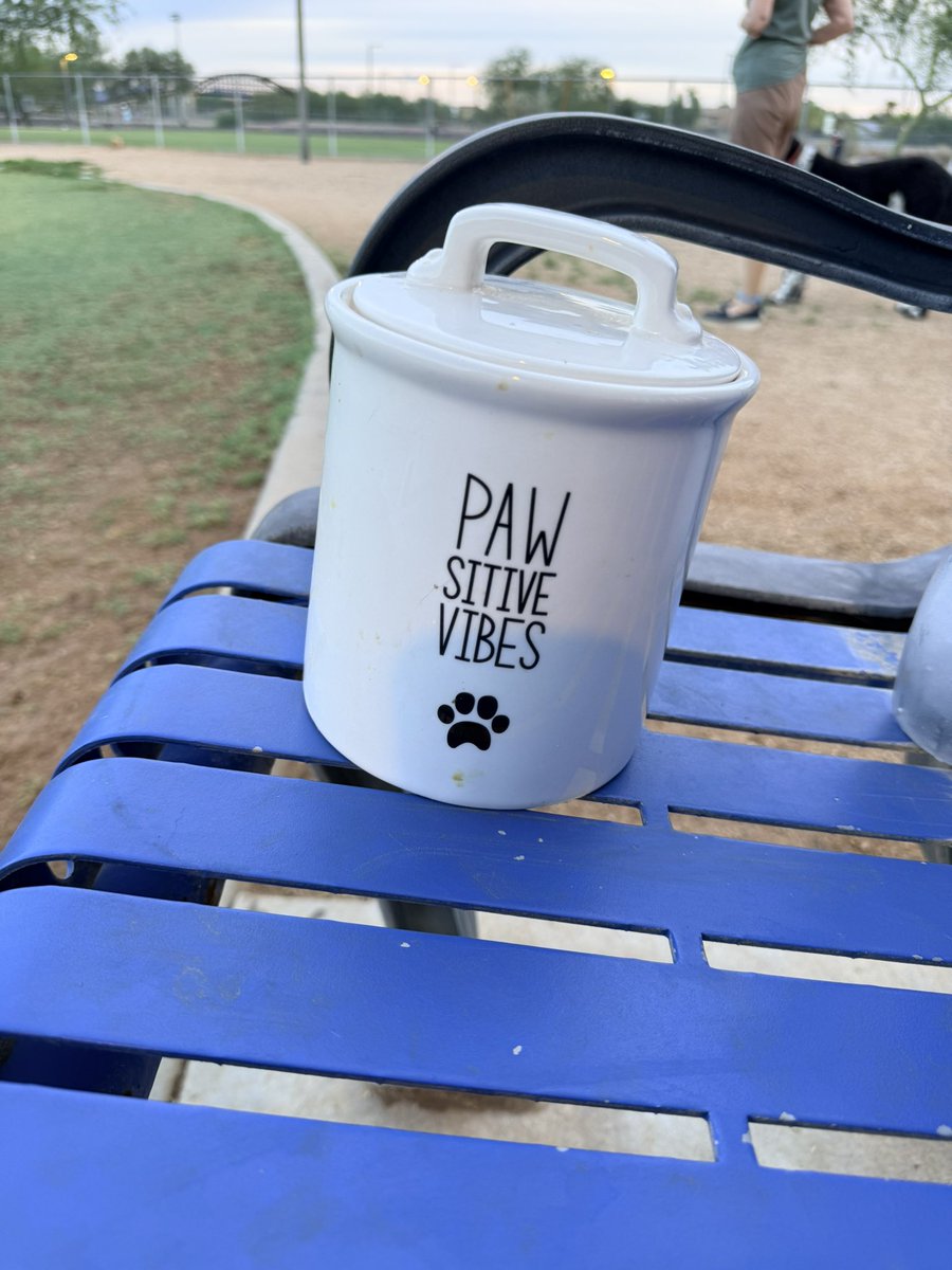 AZ_GSP's tweet photo. I brought Bruisers treat jar to the dog park this morning to give to one of the dog moms. She was always so nice to Bruiser. https://t.co/S7nQaki705