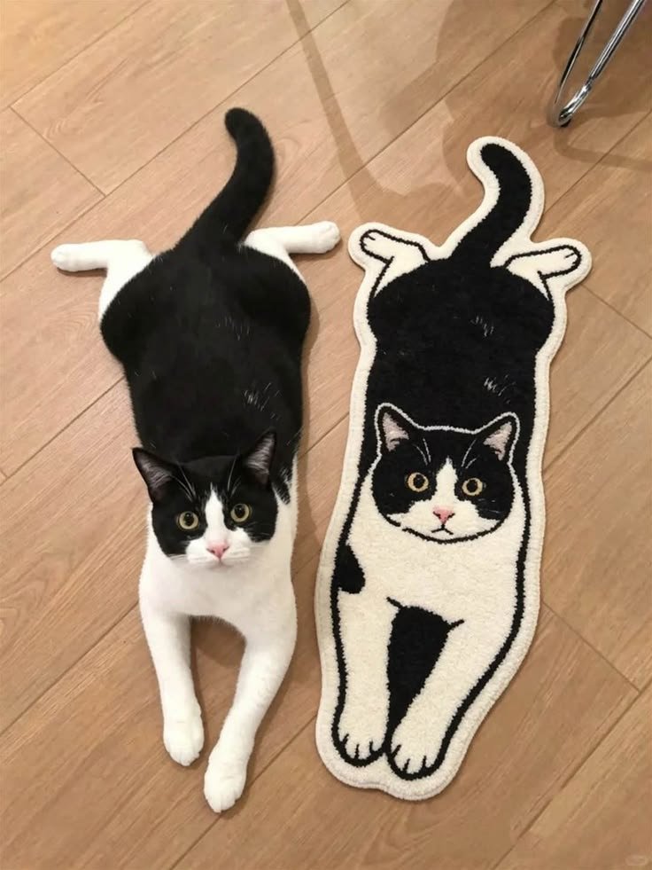 Arthetec's tweet photo. cute little rug for your cat https://t.co/ugnHywsSvq