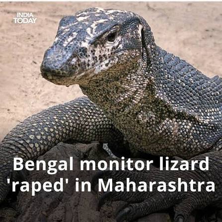 Peshanhn's tweet photo. @Anti_clownism @shivamxc686 These are numbers nothing.we are more civilized than y'all. are u sure that all the cases have been documented In those files 🤣check what comes when type India in internet  vrs Sri lanka.Y'all didnt  even give up on a monitor lizard https://t.co/At6cqTAznV