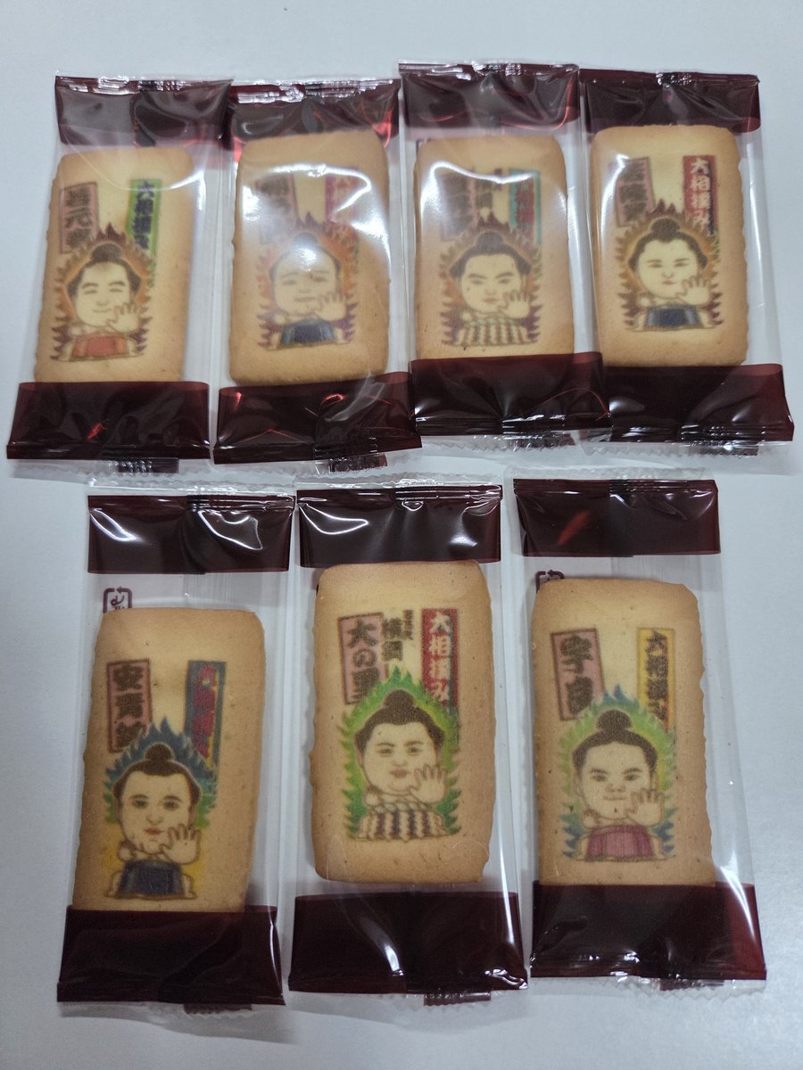 tsukushitweet's tweet photo. 初の大相撲観戦。堪能して参りました🍀

いつも推してくださってる庄之助さんが引退なさる前に見に行こうと思っていたところ、チケットを取ってくださいました。ありがたいことでございます🙏

ちなみに、推してくださってる方の公演を見に行くことを“推し返し”と言うそうで。決まり手みたいですね✨️ https://t.co/kaXGBmqoId