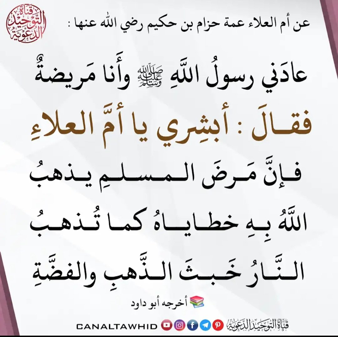 salh_slyma51897's tweet photo. https://t.co/CSEqIzRQLu