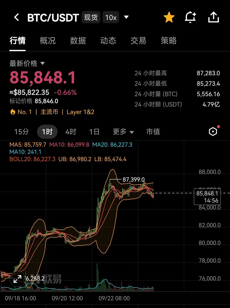 btc_vee tweet picture