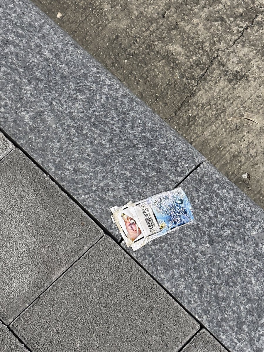 kiritani103's tweet photo. 담꾸를 왜이렇게까지 정성스럽게 했고 그걸 왜 또 버렸는지 생각하면서 가까이 갔는데.. 이럼.
썅! https://t.co/0c8DMWDIxS