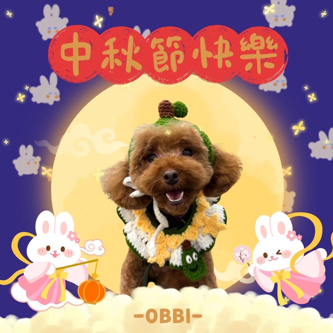 CingSongHusky's tweet photo. 提前祝大家中秋節快樂❤️❤️❤️
這是我家可愛狗狗LUNA～o(≧v≦)o https://t.co/PI2uer5voM