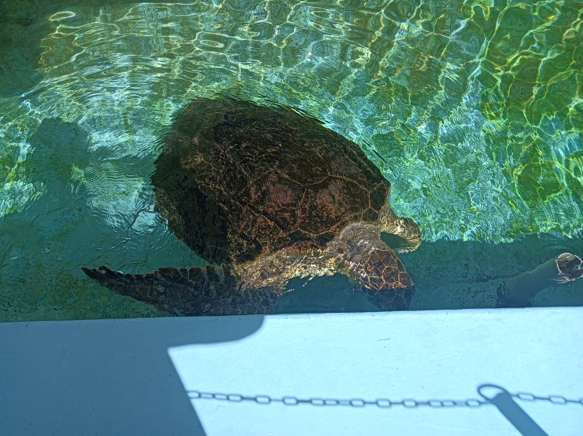 vet_animaly's tweet photo. むろと廃校水族館 https://t.co/RRQNLSKimy