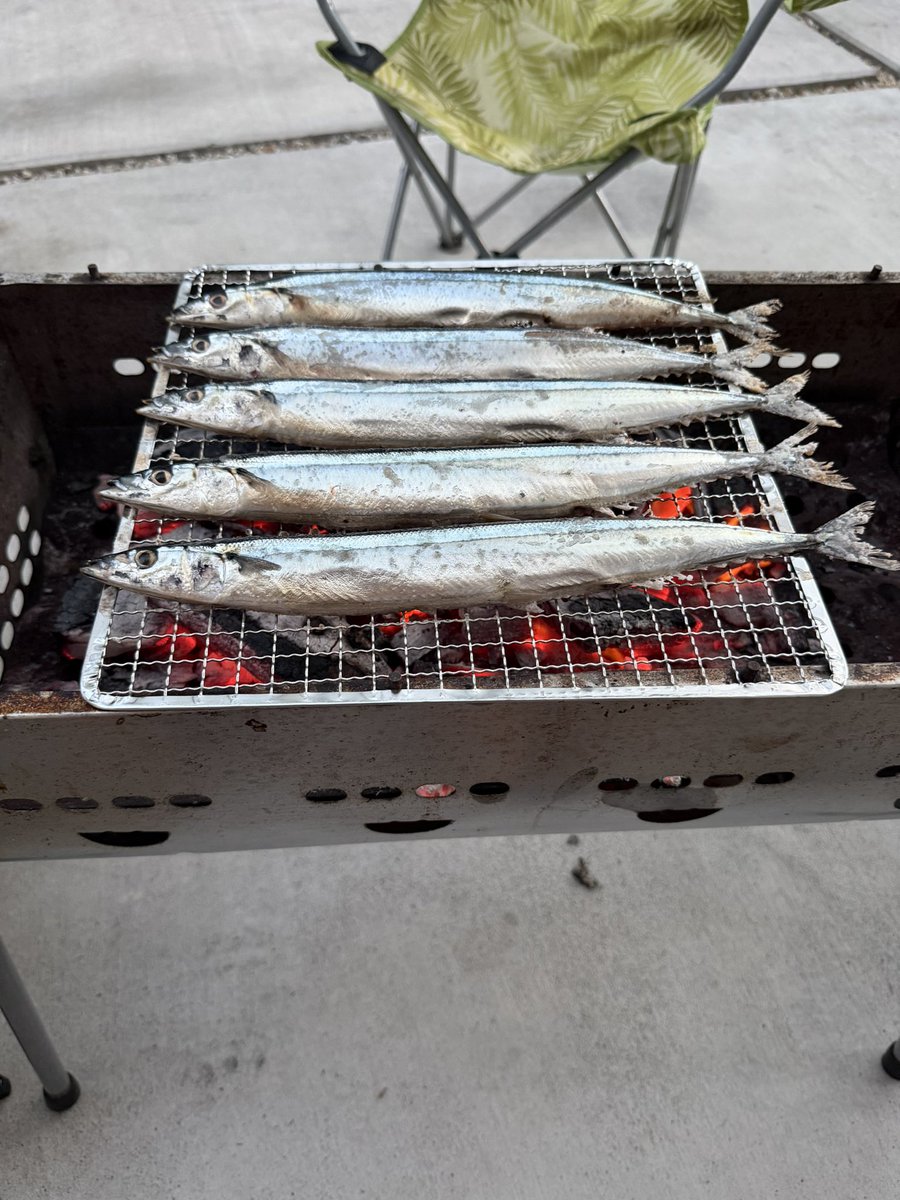 1119Two's tweet photo. 秋刀魚〜 https://t.co/pii6ieiu5C