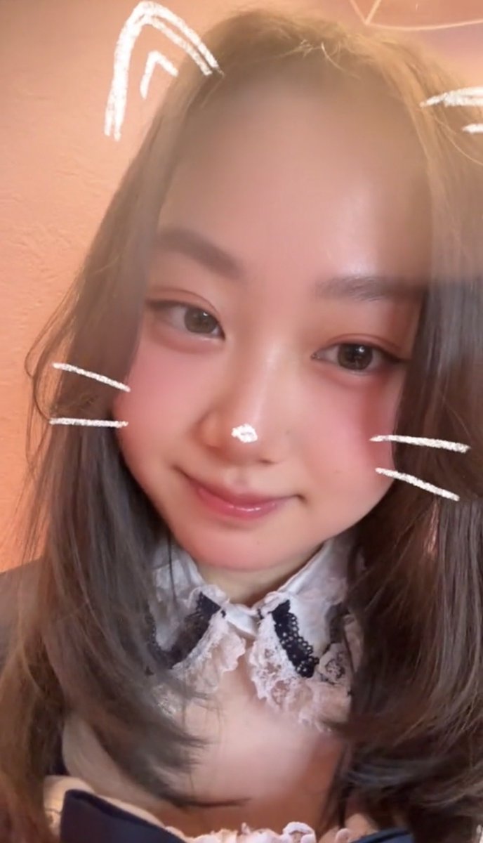 pinmin_k_moa's tweet photo. います🐈⸒⸒⸒⸒ https://t.co/05e7AZylIj