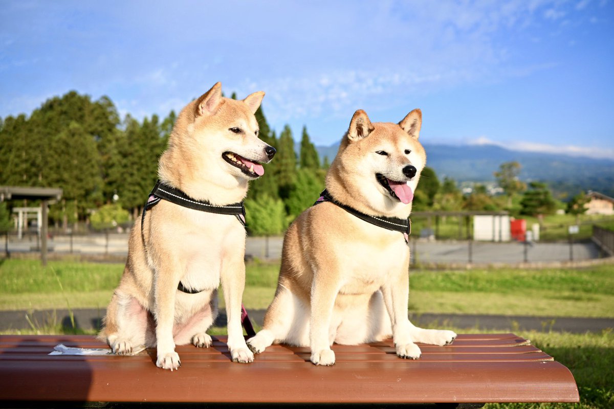 jajagi7jajagi's tweet photo. 連休お疲れ様でした https://t.co/Ykg2J6iMa6