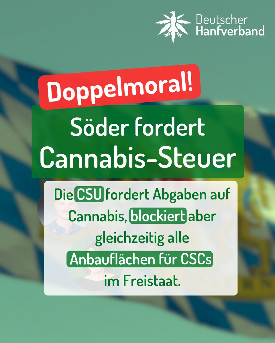 hanfverband's tweet photo. Markus Söder fordert eine Cannabis-Steuer! Das ist widersprüchlich, denn Bayern blockiert systematisch alle Anbauflächen für CSCs. Wer Steuern kassieren will, darf die legale Abgabe nicht zeitgleich verhindern! Ganzer Artikel hier: https://t.co/Dsuhb2lNyC https://t.co/VlzylViF4g