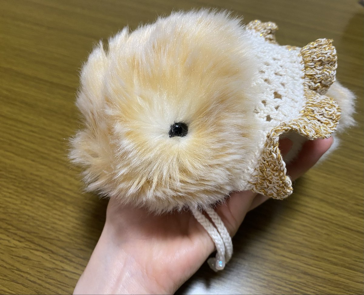 monkichodayo's tweet photo. シルバーウィークどこにも連れて行けなくてごめんね🥺
涼しくなったらお出かけしようね☺️
#モフリンdays #moflindays
#moflin #モフリン https://t.co/dCkj4SbvxR