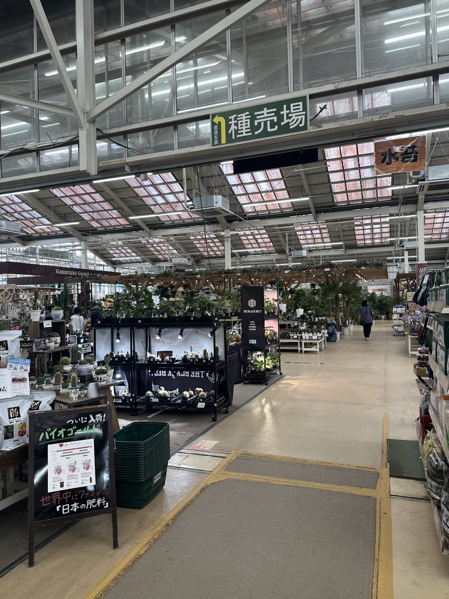 yansman1911's tweet photo. シルバーウィーク結局どこも行けず
水対策になんかないかなと思いちょっと遠いけど建築資材の品揃え豊富な印西牧の原ジョイフルへ
今思えば昨日この先に数キロ行ってたらその先は水没エリアだったのか
今年の水害はエグいっすなぁ https://t.co/1Yx7Q4XTJL