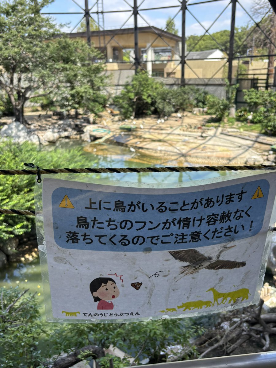 ikapon_a's tweet photo. 初、天王寺動物園楽しめた♪ 「情け容赦ない鳥のフン」は、流石大阪、言葉のチョイスが秀逸😅　ワライカワセミくんにも会えて満足‼︎ https://t.co/fkzLJIBvut