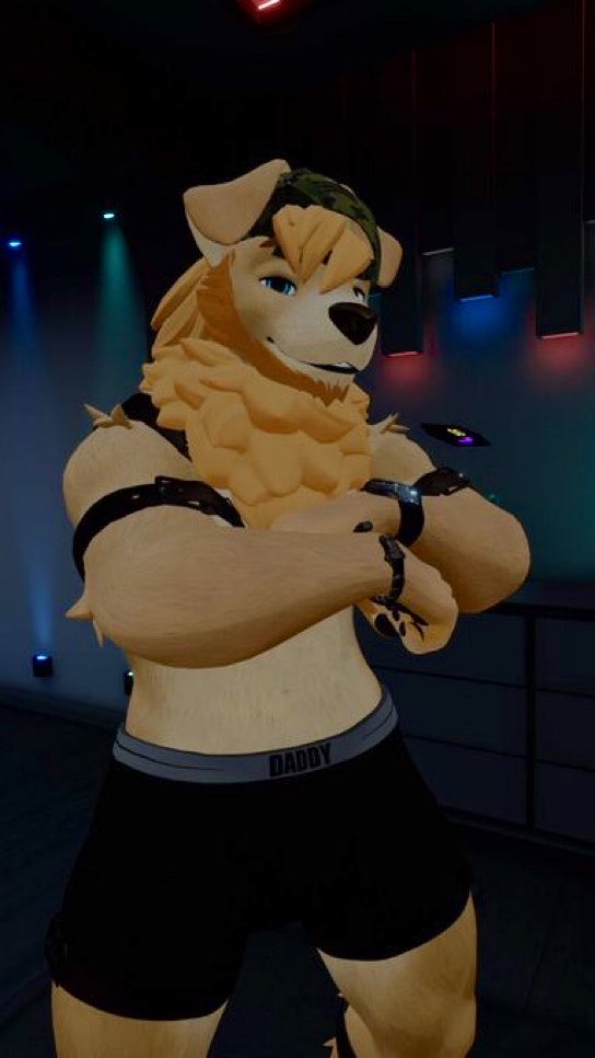 Sample_The_Dog's tweet photo. Who wore it better? 

IRL vs. VR fit 😩 https://t.co/BCX1zEyGH5