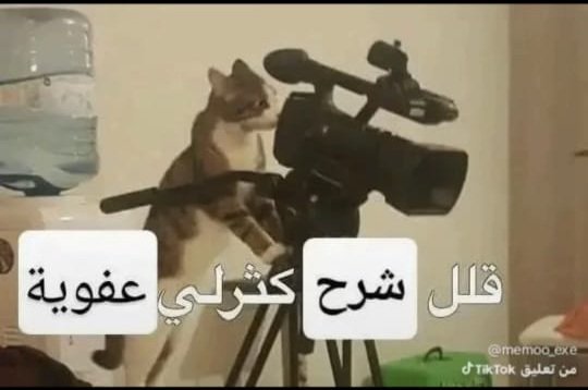 adhamke0's tweet photo. المدرسين ف مصر: https://t.co/TUAbF5S3tS