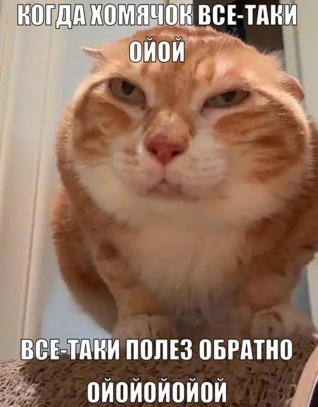 artem_701's tweet photo. @AronaVer @annylenc Мои фавориты) https://t.co/KXqSFlsEEq