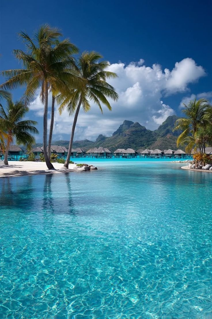 water_diaries's tweet photo. Bora Bora French Polynesia 🇵🇫 https://t.co/DgRu0LshAw