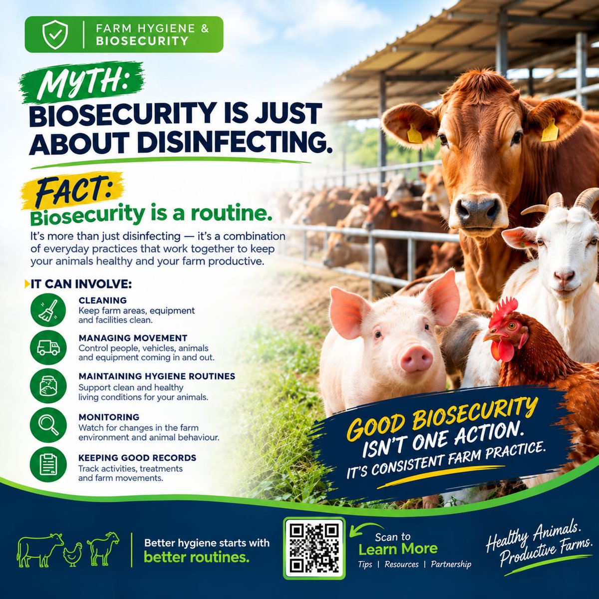 Morisonindustr1's tweet photo. MYTH: Biosecurity is just about disinfecting.
FACT: It’s a routine.

Clean. Control. Monitor. Maintain.

Better biosecurity starts with consistent farm practices.

👉 Scan the QR code to learn more.

#BiosecurityNigeria #LivestockNigeria #PoultryFarmingNigeria #FarmHygiene https://t.co/UuwBDQVWMn