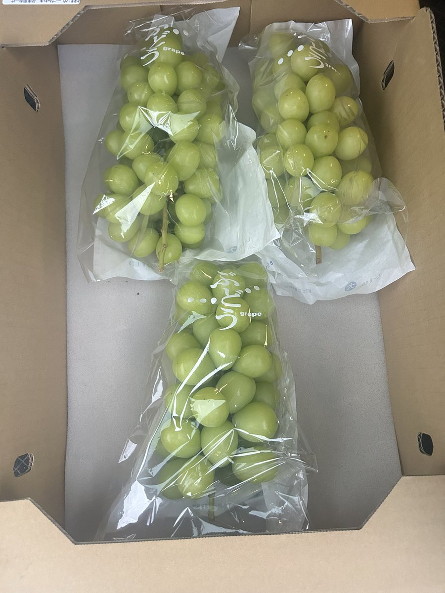 kusoseko's tweet photo. 帰宅〜
食ったもんと

渡した後に写真を撮っていないことに気づき急遽撮影したお土産 https://t.co/TbFFKKCRpa