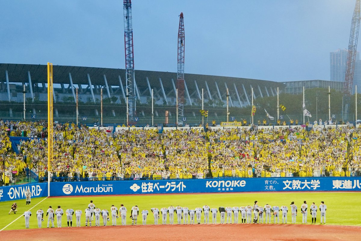 jingu_stadiumpr's tweet photo. 🐯Thank you fans🏟️
本日で神宮球場の阪神タイガース戦は全日程を終了しました。
タイガースファンの皆さま、今シーズンもたくさんのご来場をありがとうございました！
昨日の試合で通算600試合登板を達成された #岩崎優 投手、おめでとうございます🎊

#熱覇 #阪神タイガース #神宮球場 https://t.co/JNhHmoUr13