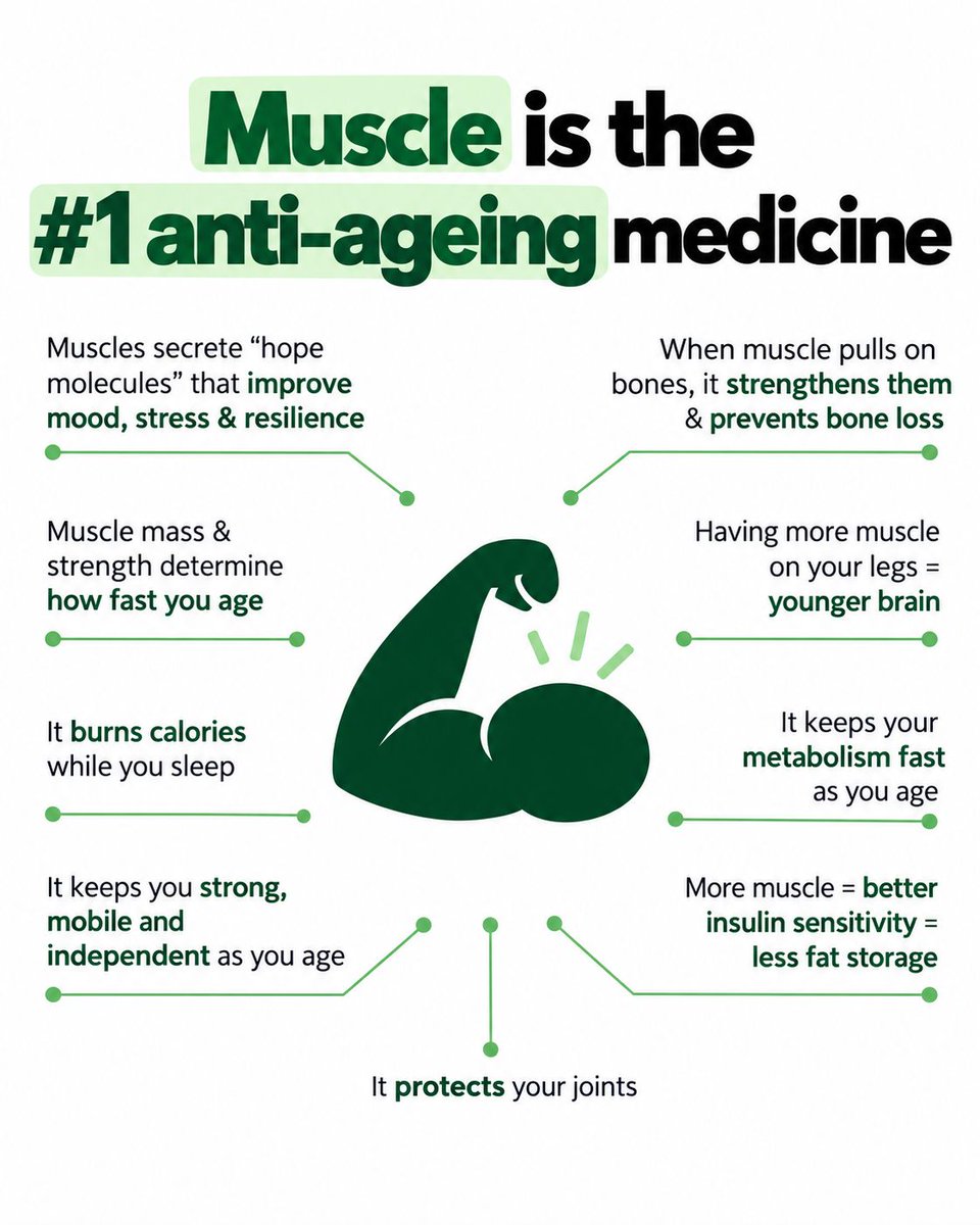 brisk_fit's tweet photo. Build strength today for a stronger tomorrow.
Need personalised fitness guidance? Consult Brisk. Link in bio.
#Brisk #StrengthTraining #MuscleHealth #HealthyAgeing #FitnessTips https://t.co/JHxhApmGfz