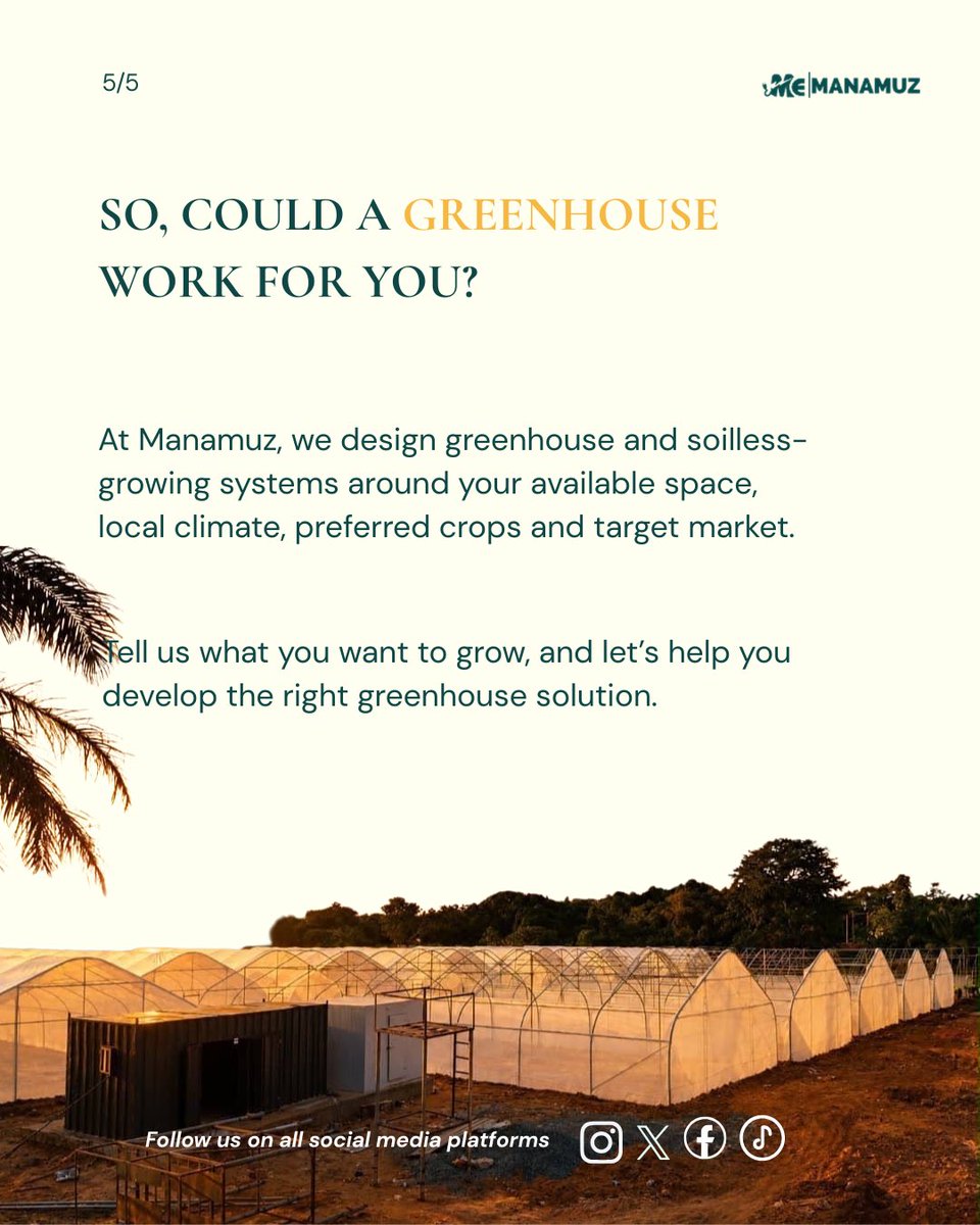Manamuz_'s tweet photo. At Manamuz, we design solutions around your space, climate, crops and market.
Tell us what you want to grow. We’ll help you build the right system.
#Manamuz #GreenhouseFarming #Hydroponics #PrecisionFarming #ClimateSmartAgriculture https://t.co/FTXefYAlDo