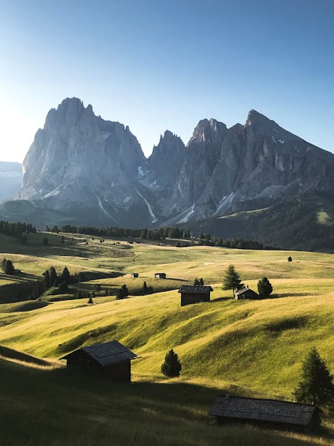 MadisonMorh9's tweet photo. الدعم تابعنا ��احصل عائد لنتبادل الآن، على اليوم. التعاون يربح معًا. earleen truchan https://t.co/OgbwrYRocq
