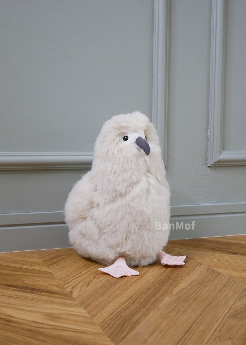 banmof's tweet photo. Baby Albatross🍼 https://t.co/ou6zKjFJtT