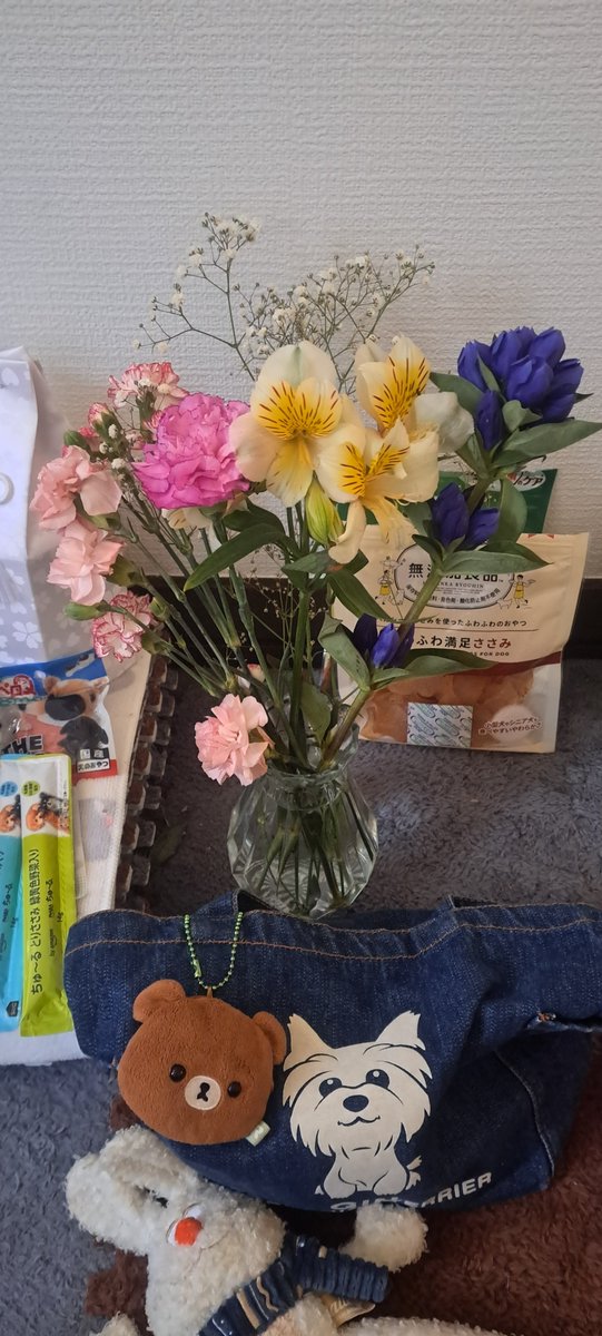 exxxxxty's tweet photo. ぎんさん❤お花買ってきたよ❁⃘*.ﾟ https://t.co/jf7jZJTEfz