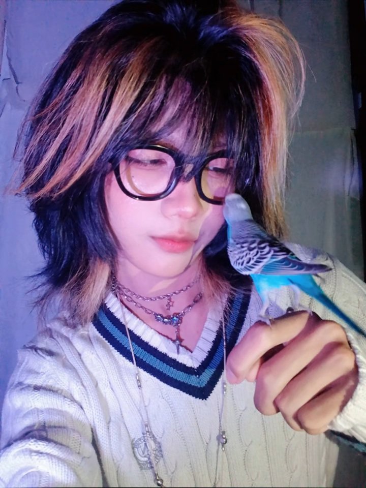 RaiShotaro's tweet photo. ini burung ak, namanya ubay ;3 https://t.co/GyJHP2n3sR