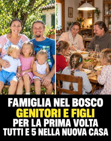 incorreggibile's tweet photo. Siamo nel paese del diritto? Mah poveracci hanno attraversato l’inferno 😒 https://t.co/KqMa66IQvj