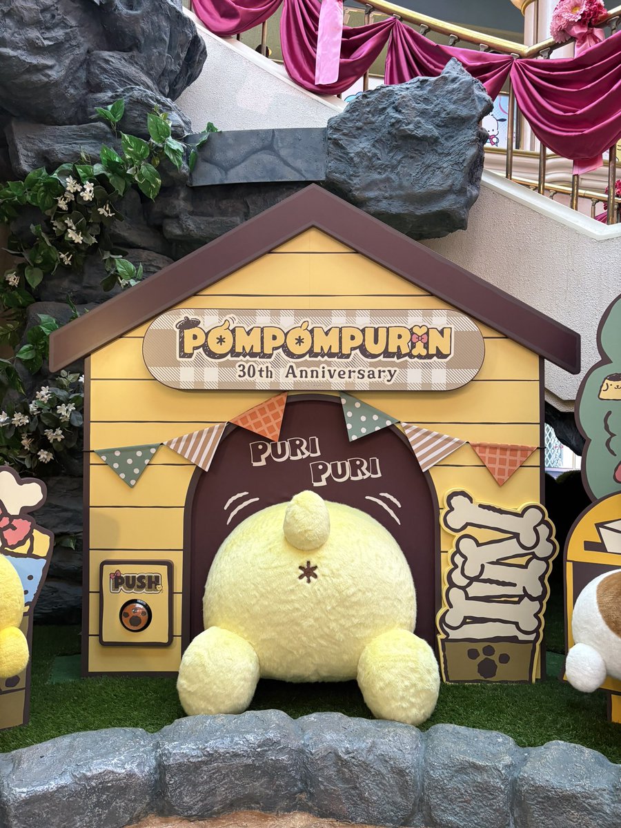 Pmpmprn_416's tweet photo. 一足早いシルバーウィークで先週ピューロに行ってましたദി ˉ͈̀꒳ˉ͈́ )✧
どこを見てもプリンくんだらけで幸せ空間だった〜ㅠ ̫ㅠ♡ https://t.co/KMzRBLTvHr
