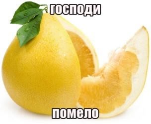 kewekax's tweet photo. без зависти, я буду жрать помело https://t.co/mdY7f7RguR