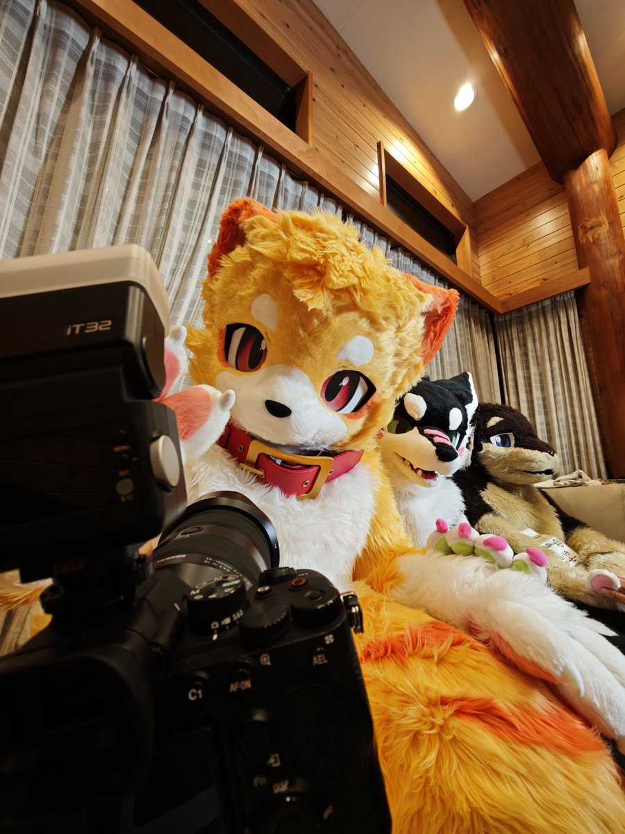 TailLens96's tweet photo. モリモリ現像中〜

いっぱい写真ある！！🦝
#ふぁーろっじ
#リス村別荘 https://t.co/97e7IJKH1W
