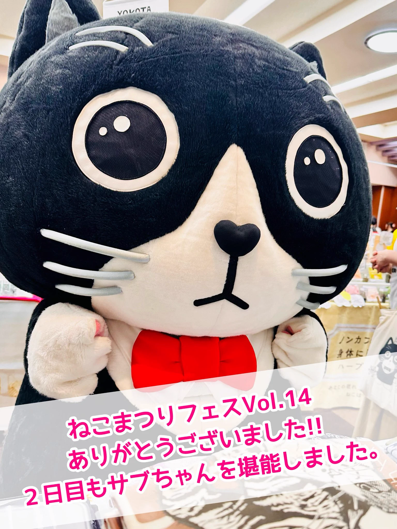 青宙屋 hachi on X: 