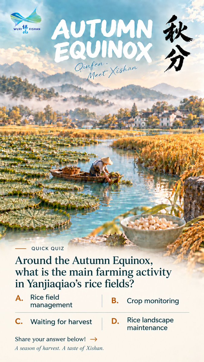 MeetXishan's tweet photo. The Autumn Equinox is the 16th of the 24 solar terms. With day and night in balance and the summer heat fading, Jiangnan enters a season of harvest.
In Xishan, rice fields are turning golden, while fresh gorgon fruits (qian shi) are being harvested from the ponds — two seasonal sights that signal autumn is here.
From field to table, every season of hard work brings a harvest. What does autumn in Jiangnan taste like to you?
#MeetXishan #XishanInMotion #Xishan #Wuxi #JiangnanCulture #AutumnEquinox #SeasonalFlavors #TasteXishan #ChineseCulture