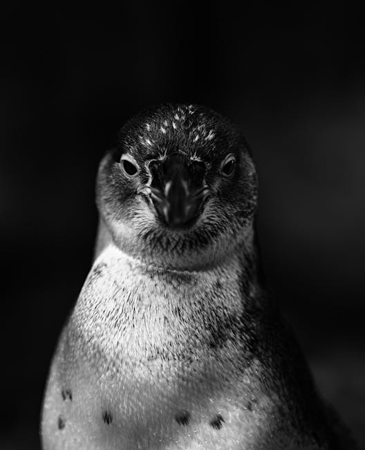 StevenThom0bfu's tweet photo. ابدأ متابعتك هنا، موجة وتفاعل، ينتشر وانتظر الدعم في المقابل. لنُنشئ شيئًا بسرعة. issac losee https://t.co/kw2idtW8WS