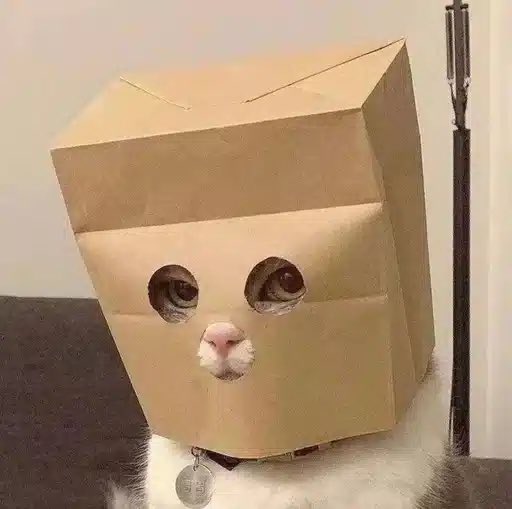 0xCB27's tweet photo. GM

Massive dip across the @LaunchOnSF eco 

So… what’s the next $100M memestock that replaces $ZCAT on stonk?

Another cat? 🐱 Or a dog? 🐶

A lot of projects are getting CTO’d by the community after devs/KOL-bundled wallets leave.

Which one has the strongest LORE + COMMUNITY to make the comeback?

$PURR → $7.6M @HypurrSF_ 

$FEELSGOOD → $4.5M @FeelsGoodStonk 

$RAYCAT → $4M @RayCat_Solana 

$🎒 → $3.3M @Just_a_Backpack 

$BTC → $3.2M @BTCbuythecat 

$BUTT → $1.6M @buttensoronsol 

$LOOM → $1.1M @LOOMCTOSOL 

$INU → $550K @INU_UNI2026 

$RUNNER → $62K @FoundtheRunner 

Which one has the lore + community to become the next $100M RUNNER? 👀

Or what’s on your mind?👇