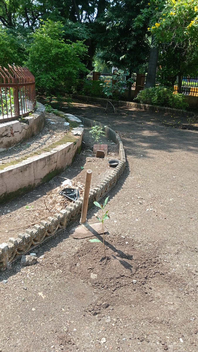 AGYAT0078's tweet photo. Today I planted 3 trees 🌍 #plantation #saveearth https://t.co/t4Nq44FkOC