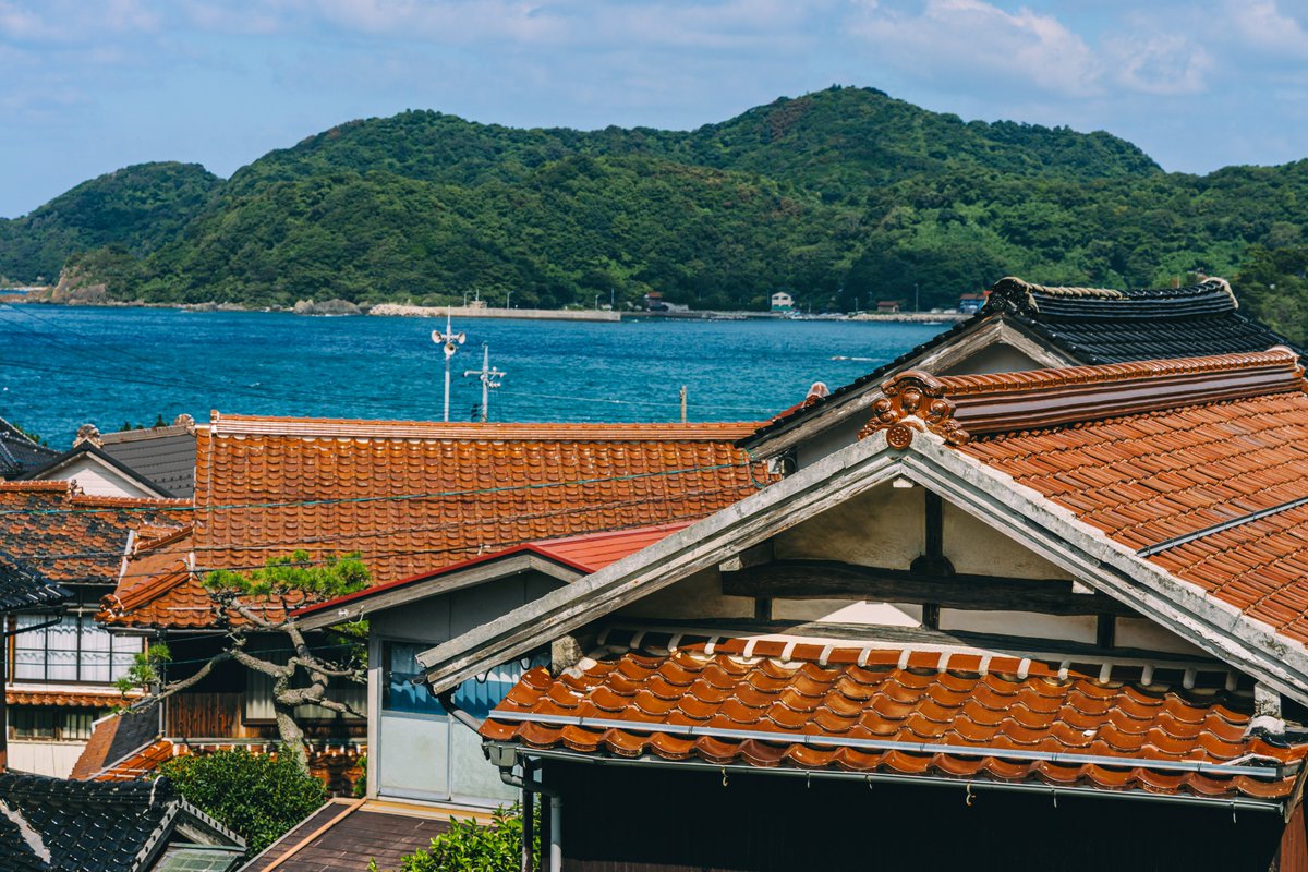 SONY201870's tweet photo. 石州瓦の集落
#猫旅記録 https://t.co/4ASQC1tUMe