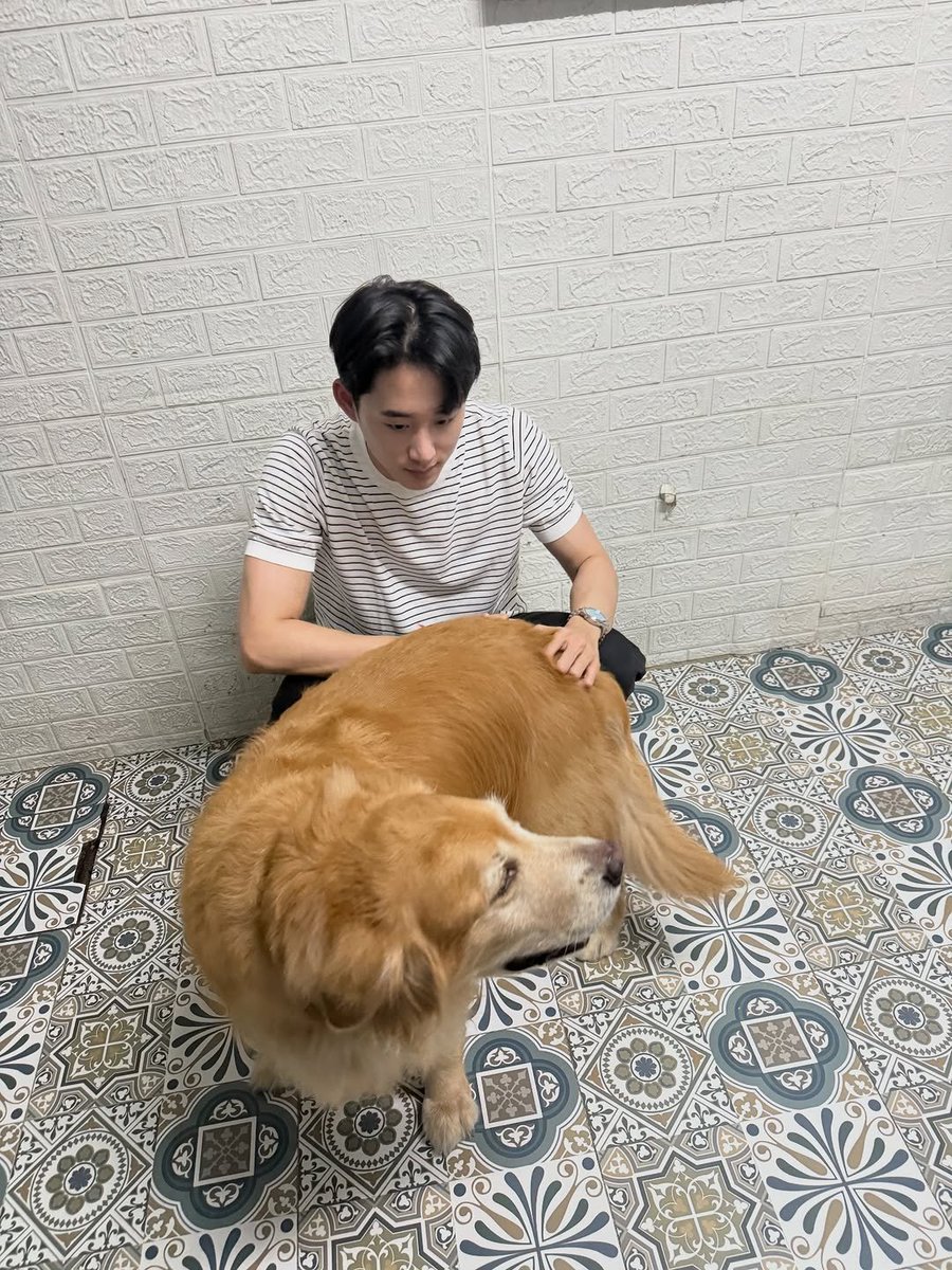 _ppyourbeam's tweet photo. มีใครให้ได้มากกว่านี้มั้ย ชุดคู่ที่ใส่ไปบ้านกันมาก่อน (( ผลัดกันถ่าย )) สักพักลงสตอรี่นึกว่าไปถ่ายงาน แต่เปล่าเลยไปเที่ยวด้วยกันต่อ แบบชุดคู่! ปั่นเป็ดด้วยซ้ำอ่ะ โรแมนติกเกินไปป่ะ 🥹🥹🥹🥹 https://t.co/BXDv2J3cUu