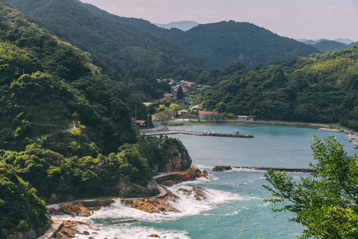 SONY201870's tweet photo. 石州瓦の集落
#猫旅記録 https://t.co/4ASQC1tUMe