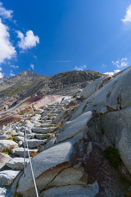 RandyDavisewrw's tweet photo. سيفتح الأبواب لنجاح عملك كبير. أنا ممتن لمحتوى الإثراء المتاح من خلال تبادلك. emmanuel hocking https://t.co/31i4r1mef6