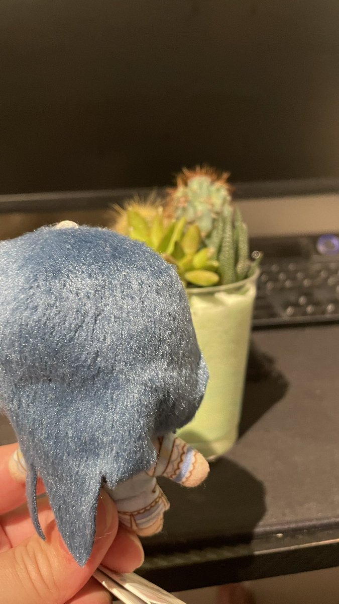 hrp_ninja's tweet photo. いっちゃん、サボテンだよ。
サボテン、いっちゃんだよ。 https://t.co/3vgPAovmDw