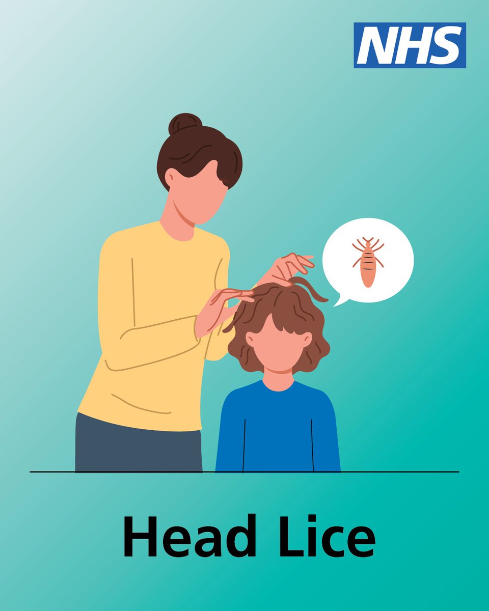 NHSuk's tweet photo. With children back at school, here's a reminder to check your child's scalp for head lice and nits. 

Treat head lice as soon as you spot them. Find more information on the NHS website. 

➡️ https://t.co/GOipAlw03o https://t.co/IIB9pxqzf7