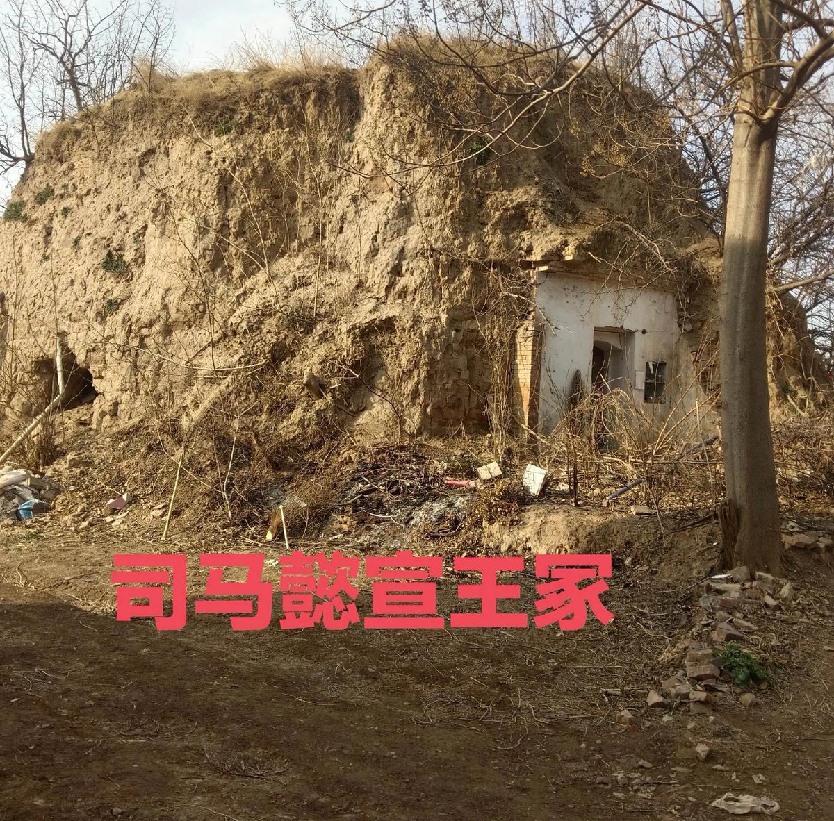 syansyan2023's tweet photo. 【洛水の誓いの呪い：司馬氏の百年にわたる報い】

洛水の誓いにおける背信行為は、パンドラの箱を開けたかのようであり、司馬一族に対する百年を跨る恐怖の呪いを発動させた。後世の歴史家は権謀術数に注目することが多いが、この失信の背後にある三代にわたる惨烈な報いをしばしば見落としている。司馬懿が洛水を指して虚妄の誓いを立てたその瞬間から、司馬氏の滅亡は既に定まっており、報いは骨に付着する疽（かそ）のように、まずは血脈の衰退と荒唐無稽さに現れた。

司馬懿の長男・司馬師は権力闘争の中で眼病を患い、伝承によれば文鴦が率いる軍に驚かされたことで眼の腫瘍が破裂し、耐え難い苦痛の末、48歳の壮年にして急死した。しかも死後に子がなく、弟の司馬昭の子を過継（養子）として後継ぎとしなければならなかった。次男・司馬昭は魏の皇帝・曹髦を殺害した後、終日後ろめたく恐れおののき、夜も眠れず、54歳で突如としてこの世を去り、篡奪して皇帝に即位する福さえ享受できなかった。司馬昭の子・司馬炎は祖父の権謀を継承して西晋を建国し統一を成し遂げたが、愚鈍の極みである晋恵帝・司馬衷を生み出し、「肉を食べないならなぜ粥を食べないのか（何不食肉糜）」という千古の笑い話を残した。司馬炎の死後、西晋は急速に混乱に陥り、これが失信者の子孫に現れた血脈と倫理の崩壊の初期症状であった。

呪いの第二歩は、家族内部の骨肉の相残し合いであった。司馬懿は権力奪取のために「権力至上、信義無用」という悪劣な先例を作り、この詐欺的遺伝子は子孫に狂ったように報復した。晋恵帝の皇后・賈南風は凶残で嫉妬深く、朝政を専断したことで、直接「八王の乱」の血なまぐさい導火線に火をつけた。司馬家の宗室の諸王、司馬亮、司馬瑋、司馬倫、司馬冏、司馬穎、司馬顒、司馬乂、司馬越らは皇位を巡って互いに殺戮し合い、ほぼ全滅した。この16年間続いた残酷な内紛の中で、司馬瑋は司馬亮を騙し討ちにし、司馬倫は司馬冏を毒殺し、司馬乂は火で焼き殺され、司馬穎は敗戦逃亡中に殺され、司馬越は憂慮と恐怖のあまり死に、司馬氏の親族はほぼ自ら手を染めて殺し尽くし、「多く不義を行えば必ず自滅する（多行不義必自斃）」という因果律を完全に裏付ける結果となった。

そしてこの誓い破りが引き起こした最も恐るべき報いは、天下の民衆に対する大惨事であった。「八王の乱」は西晋の国力を枯渇させ、北方の辺防空虚を招き、直接「五胡乱華」という百年の惨劇を誘発した。永嘉の乱において、懐帝と愍帝の二帝は捕らえられ、屈辱を受け尽くし、異郷で客死した。中原の大地は完全に陥落し、生き物が炭をかぶる（生霊塗炭）ような状態となり、華夏の衣冠は長江を南渡することを余儀なくされ、中華は三百年にわたる乱世の暗黒に陥った。司馬氏一族の失信が、なんと民族全体に数百年の血と涙の代償を払わせることになったのである。

たとえ長江を南渡して東晋を建国しても、呪いの影は依然として晴れずに覆いかぶさっていた。東晋の明帝・司馬绍は先祖の司馬懿が誓いを破って天下を奪い、司馬昭が君主を殺害したという劣跡を聞いた時、顔を覆って号泣し、「もし公の言う通りならば、晋の国祚（天命）はどうして長く続くことができようか」と悲嘆した。この言葉は予言となり、東晋百年の心の脆さと短命を言い当てた。司馬氏は終始「国を得るが不正」という原罪から逃れることができず、百余年の間、権臣が相次いで神器（帝位）をうかがった。歴史の究極の報いは最終的に東晋の末年に降りかかり、寒門出身の権臣・劉裕は晋に代わって篡奪するために、司馬皇室に対して絶家式の血なまぐさい清算を行った。伝説によれば、劉裕は洛水のほとりで川を指して司馬氏に向かって、極めて皮肉な言葉を放った。「かつて司馬懿が曹家にどうしたか、今日私が司馬家にそうするのだ」。かつて権勢を誇った司馬皇族はほぼ殺戮し尽くされ、晋恭帝・司馬徳文は禅譲を強いられた後、劉裕の命を受けた者に布団で窒息死させられた。司馬氏の宗族はほぼ絶え、血脈は完全に断絶し、因果の閉環の究極の復讐が完遂されたのである。

洛水の誓いのいわゆる呪いは、決して神や鬼が災いをもたらしたものではなく、歴史の法則による無情な報復と、政治倫理崩壊の必然的な結果である。司馬懿は家族の信用の完全な破産をもって、子孫の滅亡と王朝の短命を手に入れたのだ。後世の歴史家が言うように、「詐力をもって天下を取れば、終には詐力によって天下を失う（以詐力取天下，終以詐力失天下）」。信義こそが、権力が長く続くための真の礎であり、司馬氏は百年の血と涙をもって、この言葉に最も重い注釈を記したのである。