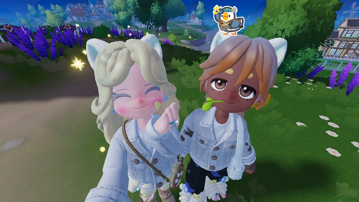 noytopia tweet picture